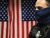 Michigan Law Calls for ICE Officers to Be Jailed for Wearing Masks