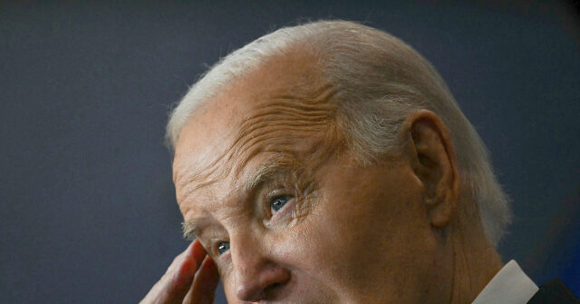 'Guy's Brain Is Mush': Biden Quotes in NYT Call Deemed 'Unintelligible'