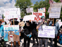 Joy Reid Rages: Florida Built ‘Alligator Alcatraz’ as ‘Concentration Camp to Round Up Brown P