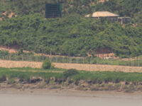 North Korean Man Dodges Landmines to Defect to South Korea