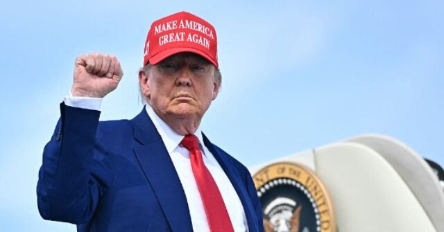 Trump Plans to Host UFC Fight at the White House for Nation's 250th Birthday