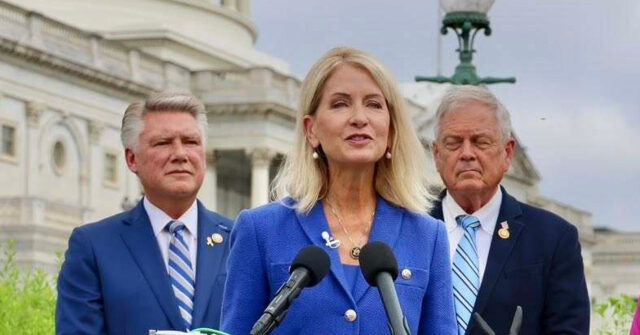 Exclusive: Rep. Mary Miller Calls on Teachers Union President to Resign