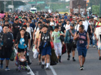 Cato Demanded Mass Migration, Gets $170 Billion for Deportations