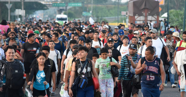 Cato Demanded Mass Migration, Gets $170 Billion for Deportations