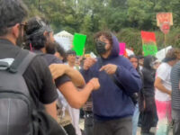 PHOTOS: Rioters in Mexico City Lash Out Against U.S., Other Tourists, Migrants ‘Go Home&#8217