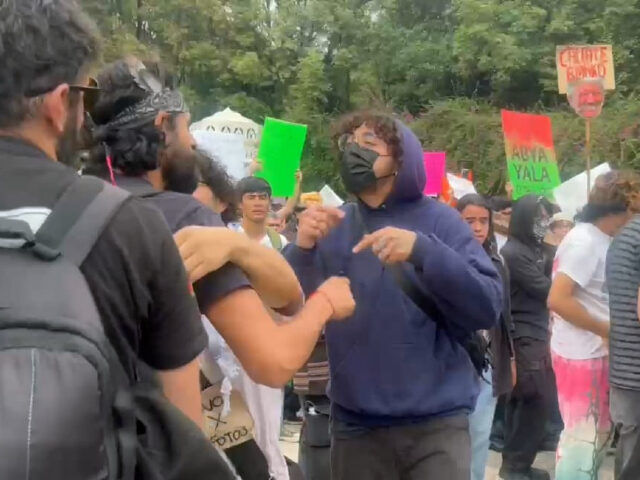 PHOTOS: Rioters in Mexico City Lash Out Against U.S., Other Tourists, Migrants ‘Go Home&#8217