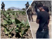 $50K Reward Offered for Man Who Allegedly Fired on Federal Agents at Marijuana Farm in California