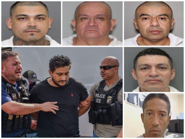 A sampling of criminal aliens arrested in June by ICE ERO in Houston A sampling of criminal aliens arrested in June by ICE ERO in Houston (U.S. Immigration and