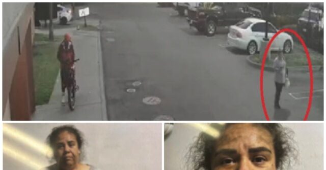 FEDS: 'LA Mom of 3' Illegal Alien Faked Kidnapping by ICE 'Bounty Hunters' Story to Raise Money