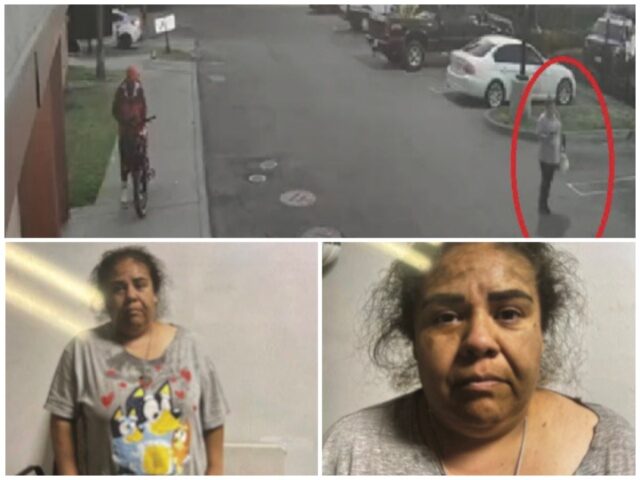 FEDS: ‘LA Mom of 3’ Illegal Alien Faked Kidnapping by ICE ‘Bounty Hunters’ 