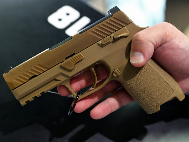 The M18 handgun by Sig Sauer, which the American army is equipped with, is exhibited at th