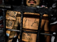 ICE Apprehends MS-13 Gangbanger, Murderer in Indiana