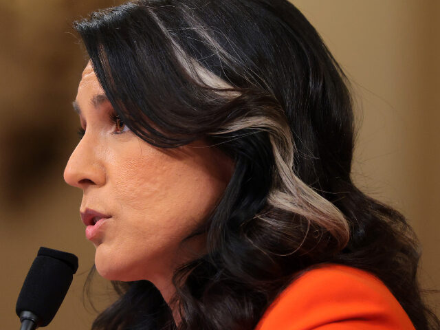 Tulsi Gabbard Director of National Intelligence Tulsi Gabbard testifies during an annual worldwide threa