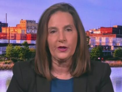 MSNBC’s Vance: Anti-Deportation Protesters Might Exercise ‘Lawful Right’ to Attac