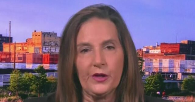 MSNBC's Vance: Anti-Deportation Protesters Might Exercise 'Lawful Right' to Attack ICE