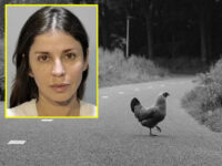 Police: Florida Woman Attacks Driver for Killing Chicken Crossing a Road