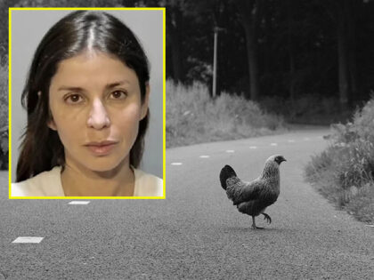 Police: Florida Woman Attacks Driver for Killing Chicken Crossing a Road