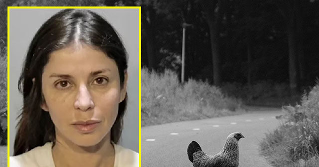 Police: Florida Woman Attacks Driver for Killing Chicken Crossing a Road