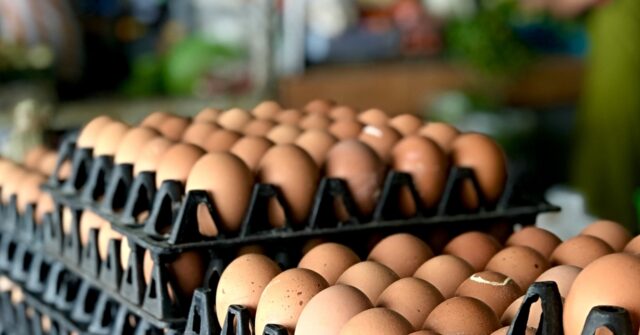 Nolte: Disgraced CNN Claims Egg Prices *Increased* Under Trump