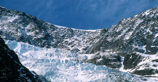Chihuahua Shows Rescuers Where Man Fell into Swiss Glacier