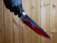 Report: ‘Playground for Terror’ — African Migrants Stab New Yorker Vacationing in