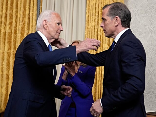 Despairing Hunter Biden Says Democrats Lost Election Due to Disloyalty to His Father