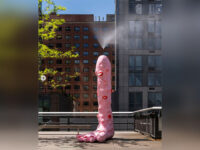 Phallic New York Sculpture Astounds, Offends — and Sprays Observers