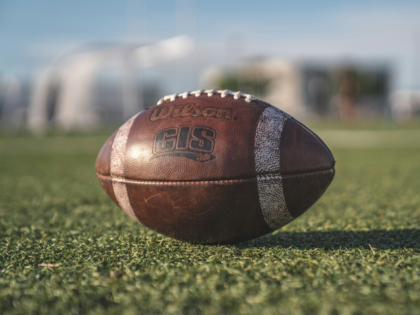 Brown Wilson Pigskin Football on Green Grass