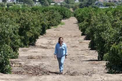 Farmer Lisa Tate fears the US crackdown on farmworkers could lead to food insecurity