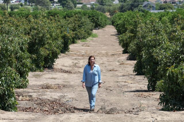 Farmer Lisa Tate fears the US crackdown on farmworkers could lead to food insecurity