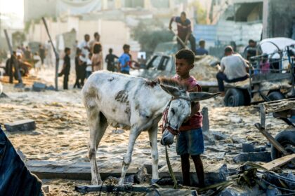 Gaza has been devastated by nearly two years of war, while UN agencies warned it is '
