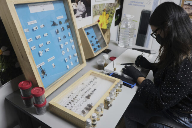 The Associated Press