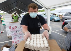 FDA ends recall of salmonella-contaminated brown eggs