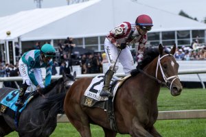 Horse racing's heavyweight Journalism back in weekend action