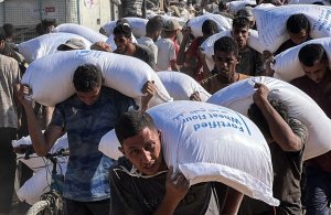 IDF announces improved aid delivery, denies famine reports in Gaza
