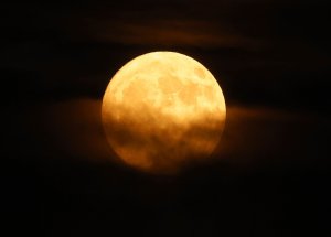 July full 'Buck Moon' set to peak