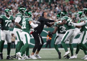 Miami Dolphins safety Ashtyn Davis sustains apparent lower leg injury