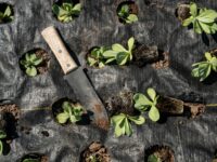 UK Police Arrest Gardener in His Own Garden For Carrying Trowel, Sickle