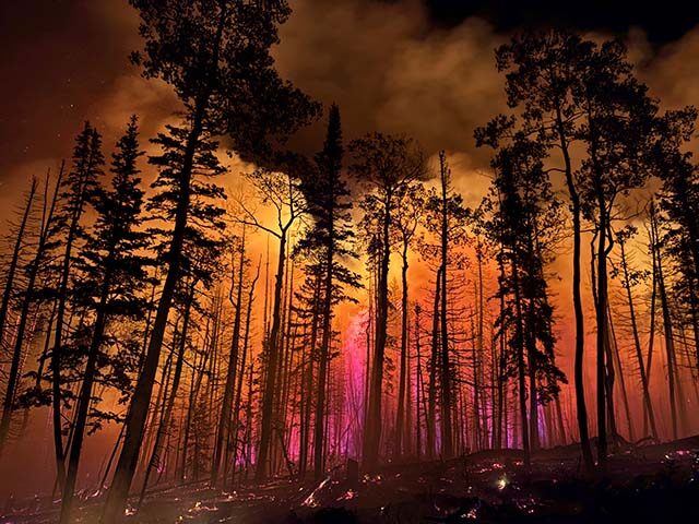 AP25212675820431 Title: Western Wildfires Image ID: 25212675820431 Article: In this photo provided by the H