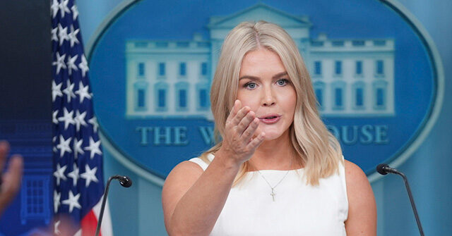 ‘Downright False’: Karoline Leavitt Torches Media over Russia-Ukraine Negotiation Coverage