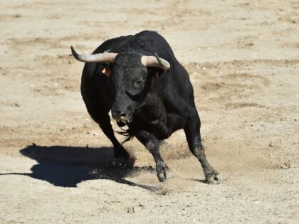 Alberto Clemares_Getty Images