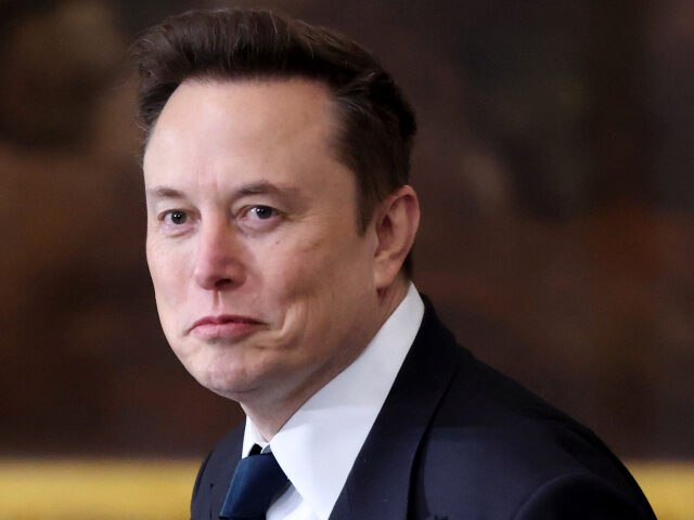 Elon Musk Elon Musk arrives before the 60th Presidential Inauguration in the Rotunda of the U.S. Cap