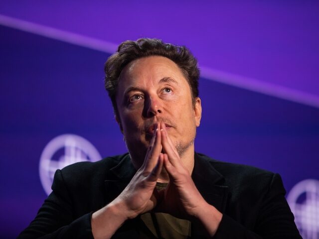 Elon Musk contemplates Tesla's future