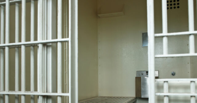 Alleged Deviant Terrorizes Women in NY, but Bail Reform Law Keeps Him on the Streets