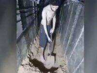 Hamas Video Shows Israeli Hostage Forced to Dig Own Grave