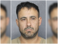 Florida: Illegal Alien Accused of Downloading Files of Child Sexual Abuse, Bestiality