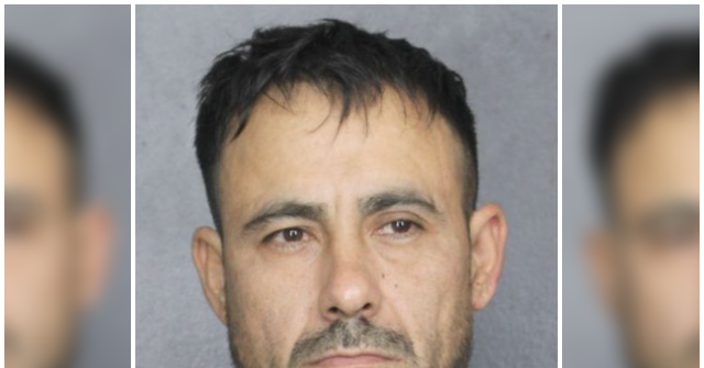 Florida: Illegal Accused of Downloading Files of Child Sex Abuse, Bestiality