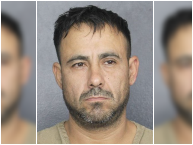 Florida: Illegal Alien Accused of Downloading Files of Child Sexual Abuse, Bestiality