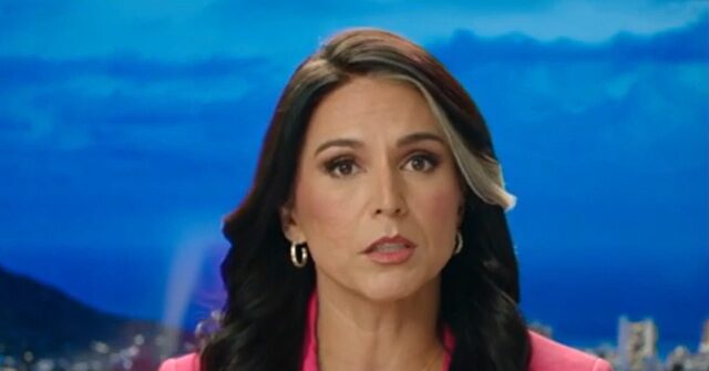 Tulsi Gabbard on the 'Mainstream Propaganda Media': 'We Should Accept Nothing They Say at Face Value'