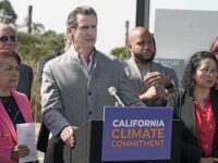 California EV Sales Continue to Lag as Gavin Newsom Fights to Save EV Mandate